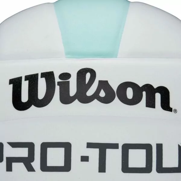 WILSON Indoor Recreational Volleyballs - Official Size