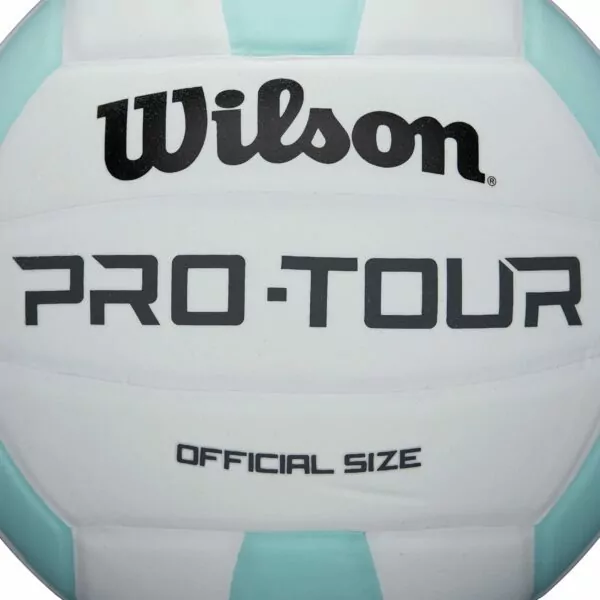 71KY ff5KbS. AC SL1500 WILSON Indoor Recreational Volleyballs - Official Size