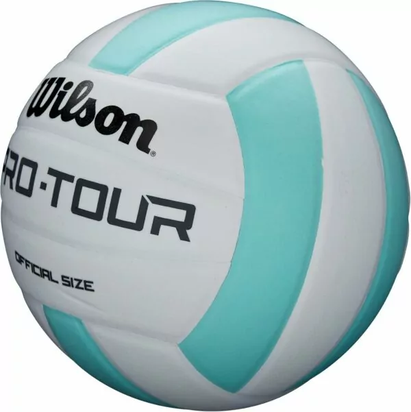 71iahgTflbL. AC SL1500 WILSON Indoor Recreational Volleyballs - Official Size