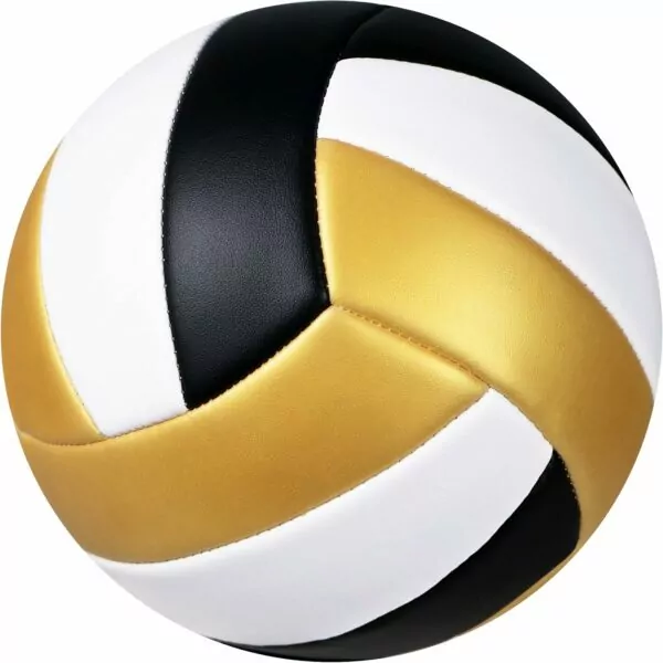 81VwmnL5c0L. AC SL1500 Soft Volleyball Ball Official Size 5 Volleyballs for Indoor Outdoor Beach Pool Game Play for Adult Youth Team Mens Beginners Professional PU Leather Training Practice Volley Balls