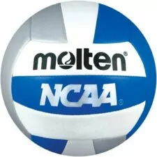 Molten Mini Volleyball