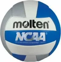 Molten Recreational Volleyball