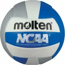 Molten Recreational Volleyball