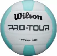 WILSON Indoor Recreational Volleyballs - Official Size