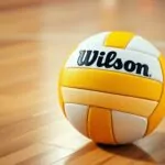 Wilson indoor volleyball