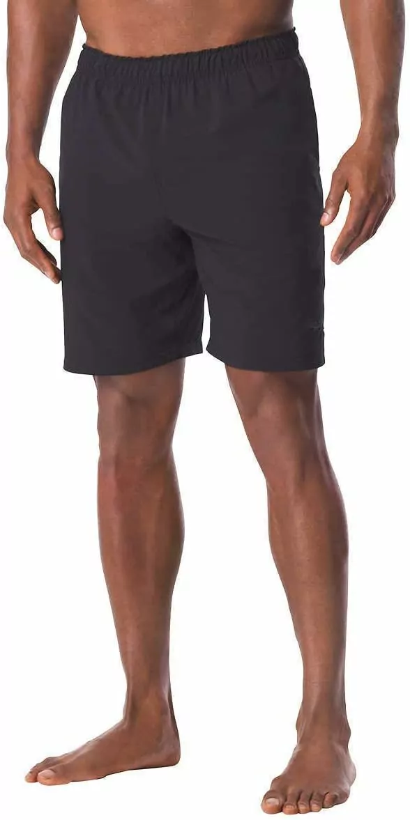 Men's Speedo Volley Swim Short